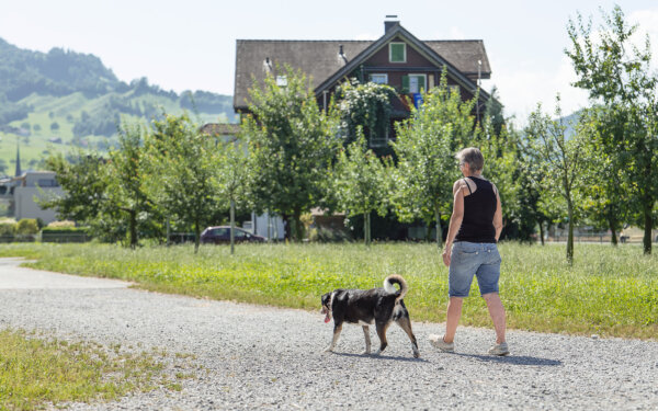 Stanserboden kontakt